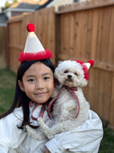 Load image into Gallery viewer, Tutu for Christmas