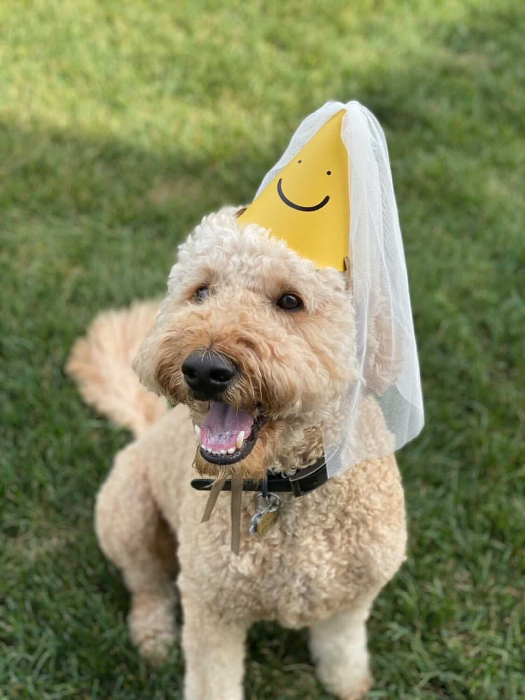 Smile Hat