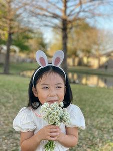 Bunny Headbands/balloon