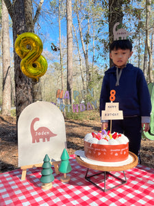 dinosaur hats